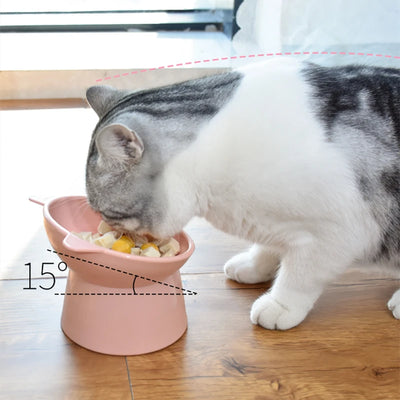 Pet Food AND Water Bowl