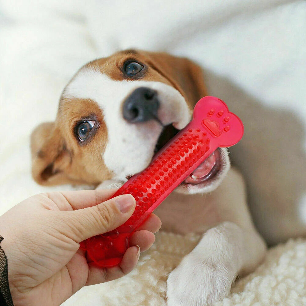 Hot Sale Pet Dog Chew Toys Rubber Bone Toy Aggressive Chewers Dog Toothbrush Doggy Puppy Dental Care For Dog Pet Accessories
