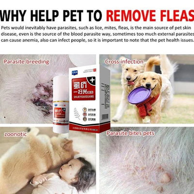 Pet Cats Dogs Flea Killer Spray 30ml Puppy Tick Mite Mange Treatment Liquid