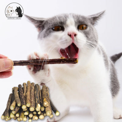 Hot Pure Natural Catnip Pet Cat Toy Suit Safety Molar Toothpaste Branch Cleaning Teeth Silvervine Cat Snacks Sticks Pet Supplies